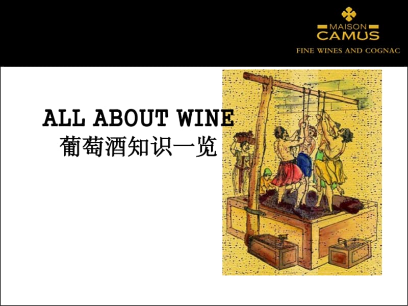 葡萄酒知识培训.ppt_第1页