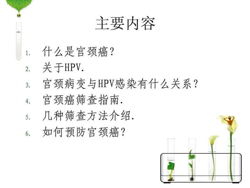 最新张和平课件HPV感染与宫颈癌-PPT文档.ppt_第2页