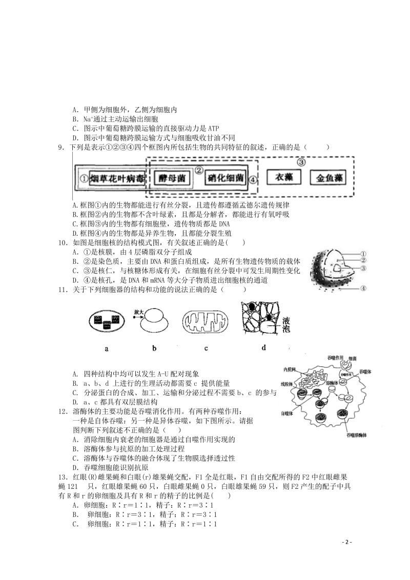 江苏省盐城市2018届高三生物上学期第一次学情调研试题2017103102108.doc_第2页