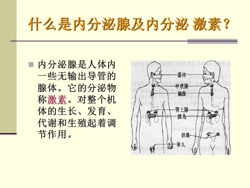 最新内分泌调节与抗衰老-PPT文档.ppt_第1页