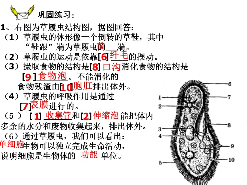 2018年没有细胞结构的生物——病毒-文档资料.ppt_第2页