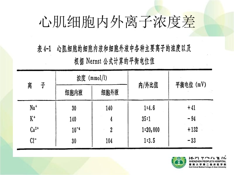 最新小儿心电图-PPT文档.ppt_第2页