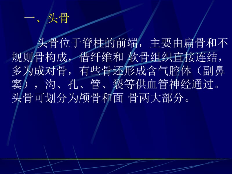 2018年2-2全身骨骼1头部骨骼-文档资料.ppt_第2页