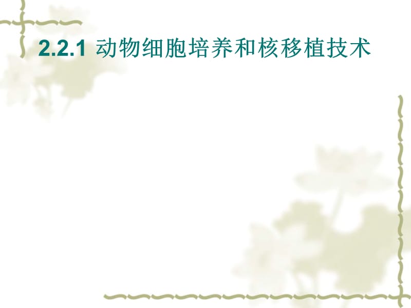 最新2.21动物细胞培养和核移植技术-PPT文档-文档资料.ppt_第2页