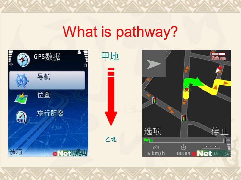 心血管内科基本诊疗路径介绍-精选文档.ppt_第1页