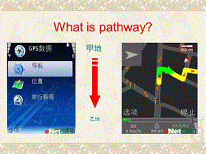 心血管内科基本诊疗路径介绍-精选文档.ppt