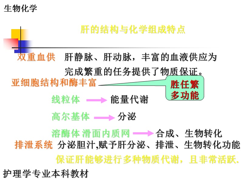 2018年15第十五章肝胆生物化学-文档资料.ppt_第2页