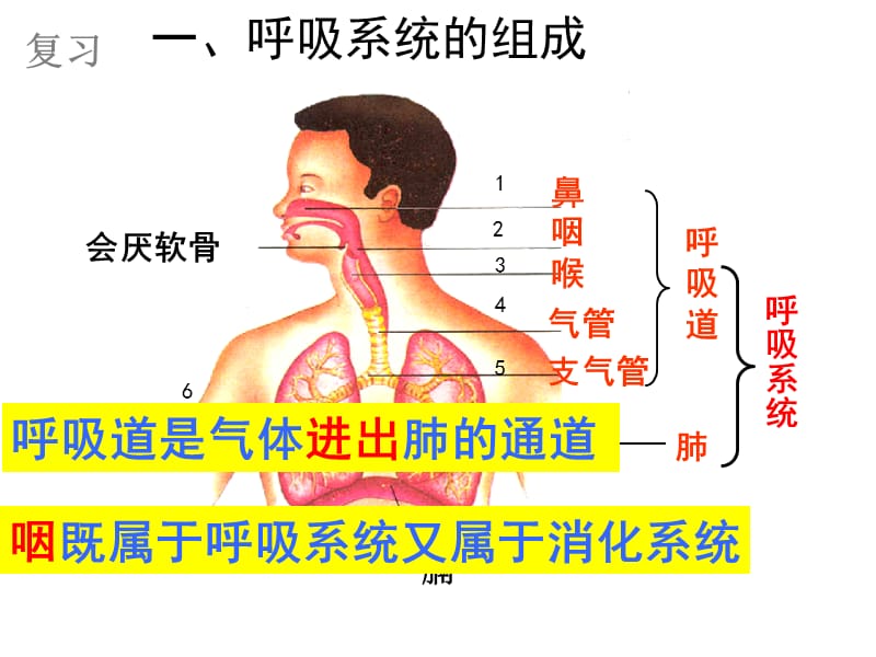 发生在肺内的气体-文档资料.ppt_第2页