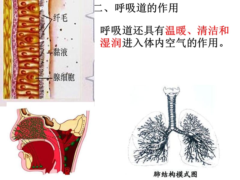 发生在肺内的气体-文档资料.ppt_第3页