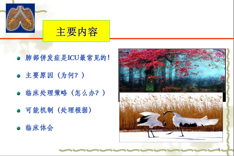 2018年icu期间肺保护策略与进展蒋东坡-文档资料.ppt_第1页