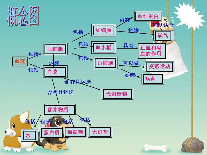 2018年人体的血液循环-文档资料.ppt_第2页