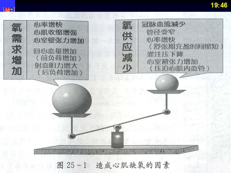 2018年第二十一章抗心绞痛药与抗动脉粥样硬化药-文档资料.ppt_第3页