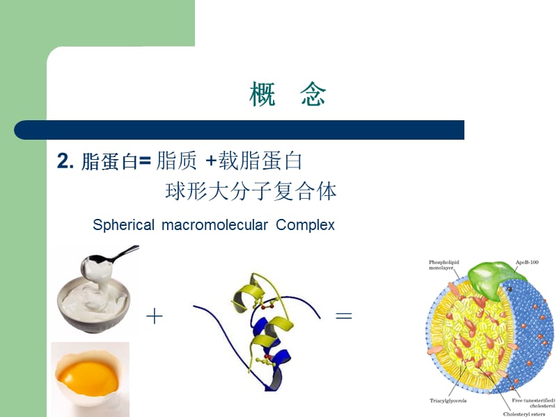 最新2012血脂异常-精选文档-PPT文档.ppt_第3页