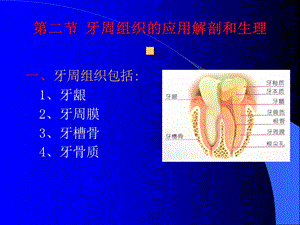 卫生教学-三基培训--牙周组织疾病-文档资料.ppt