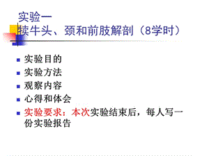 2018年局部解剖学实验-文档资料.ppt