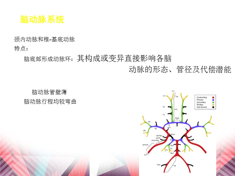 医学影像-MSCT诊断脑动脉正常变异-精选文档.ppt_第2页