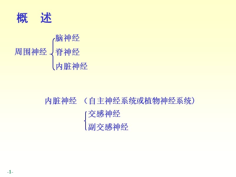 2018年14脊神经-人体结构学-文档资料.ppt_第1页