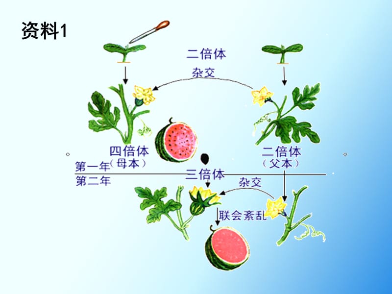 2-1-1植物细胞工程的基本技术-文档资料.ppt_第2页