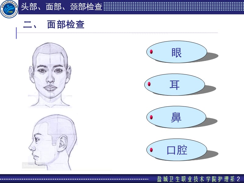 2018年第四节头部、面部、颈部-文档资料.ppt_第2页