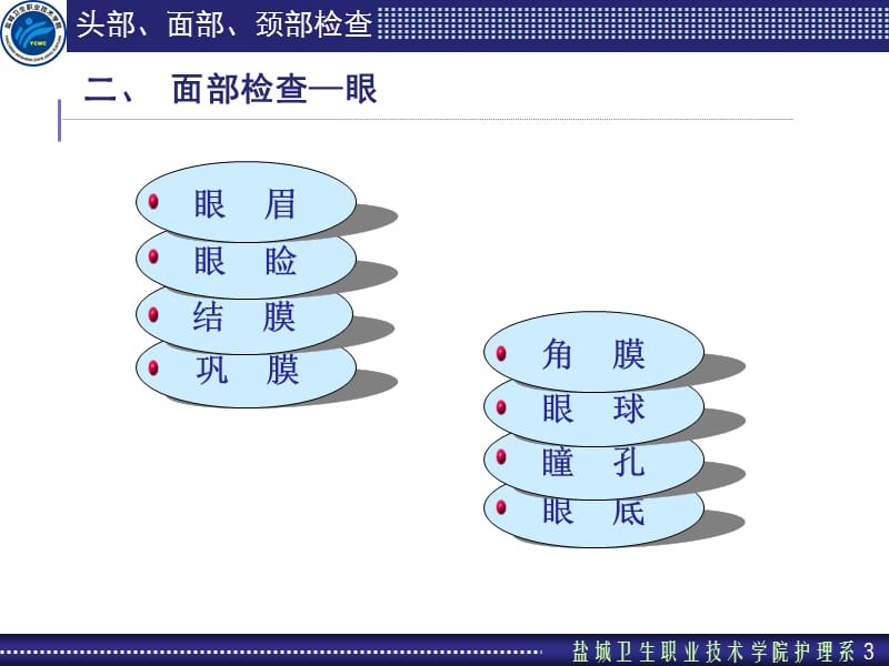 2018年第四节头部、面部、颈部-文档资料.ppt_第3页