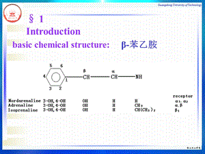 2018年9第九章肾上腺素受体激动药-文档资料.ppt