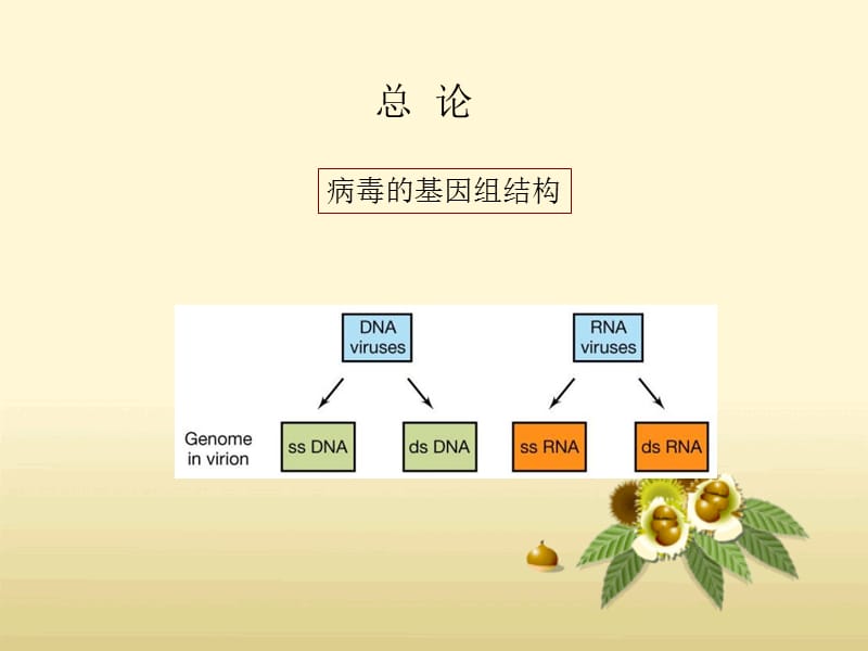 2010-3病毒遗传分析-PPT文档.ppt_第1页