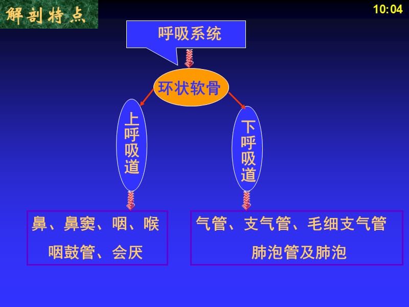 儿科护理学 8呼吸系统疾病患儿护理-文档资料.ppt_第1页