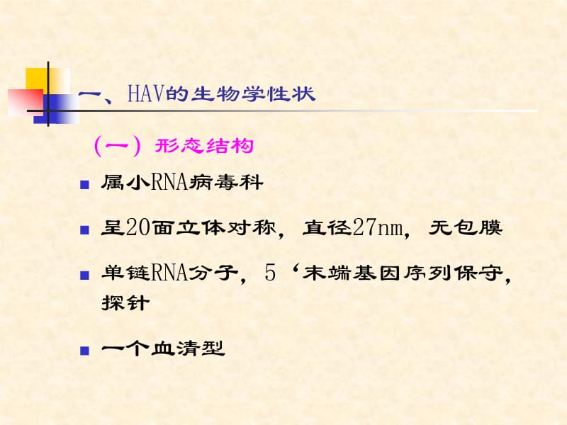 医学微生物09年 7肝炎病毒其他病毒2009-PPT文档资料.ppt_第2页