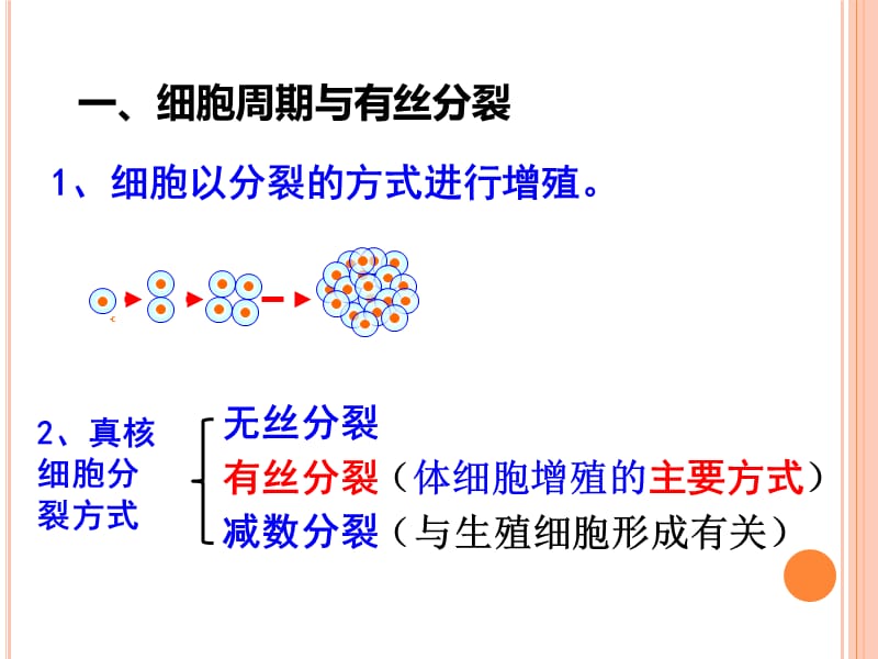 51细胞增殖-精选文档.ppt_第1页