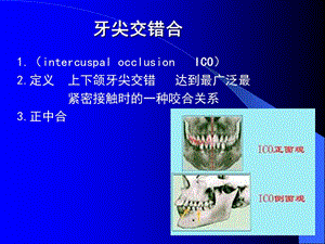 中国医科大学-口腔解剖生理学课件06-PPT文档.ppt