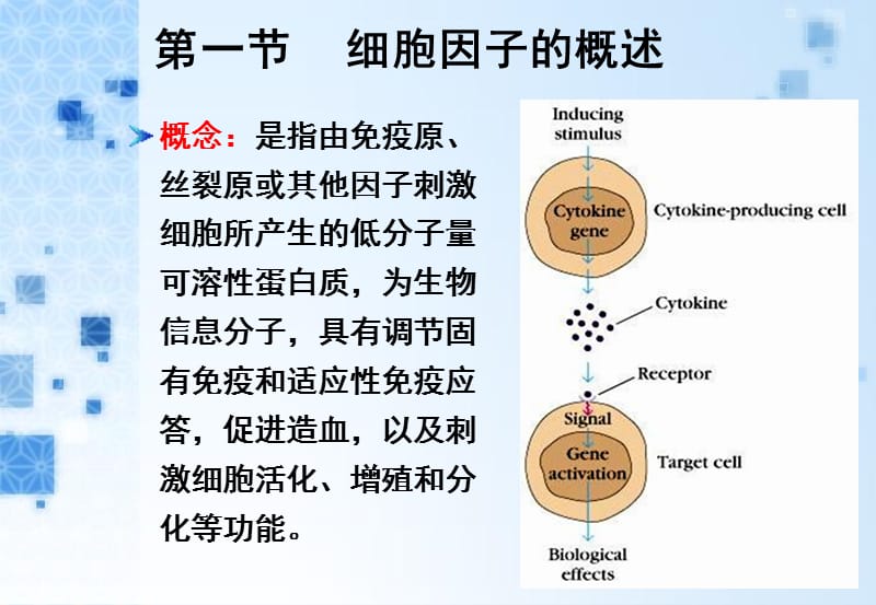 6第六章 细胞因子-PPT文档资料.ppt_第2页