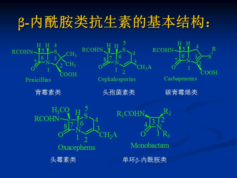 4β-内酰胺类抗生素-精选文档.ppt_第3页