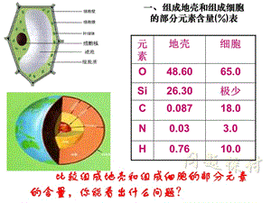 最新：1.2.1细胞中的元素和化合物-文档资料-文档资料.ppt