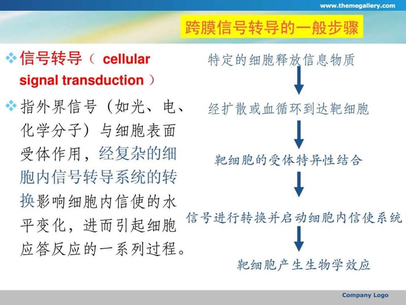 最新细胞内信号传导通路ppt_医学_高等教育_教育专区-PPT文档.ppt_第1页