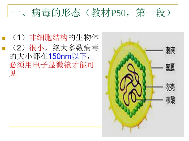 最新病毒——非细胞形态的生物-PPT文档.ppt_第1页