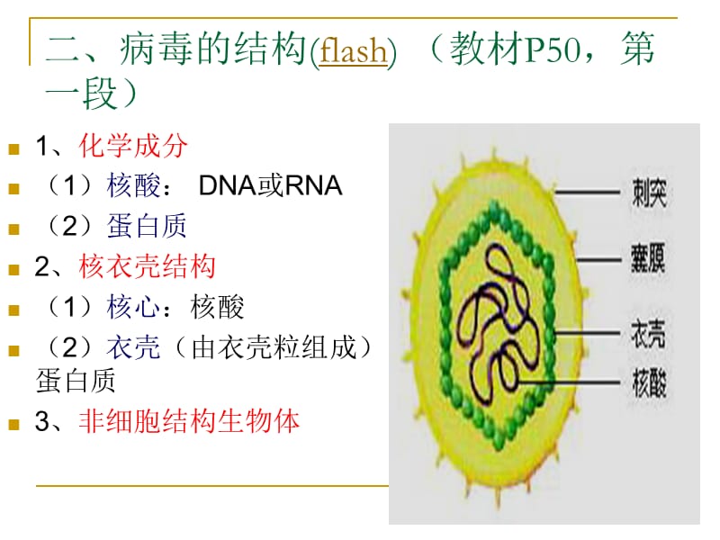 最新病毒——非细胞形态的生物-PPT文档.ppt_第3页