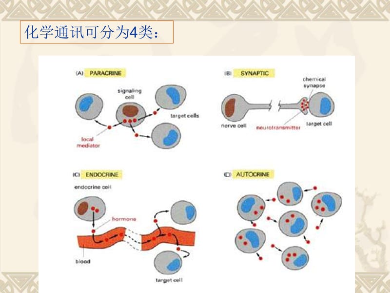 7细胞信号转导与疾病-精选文档.ppt_第3页