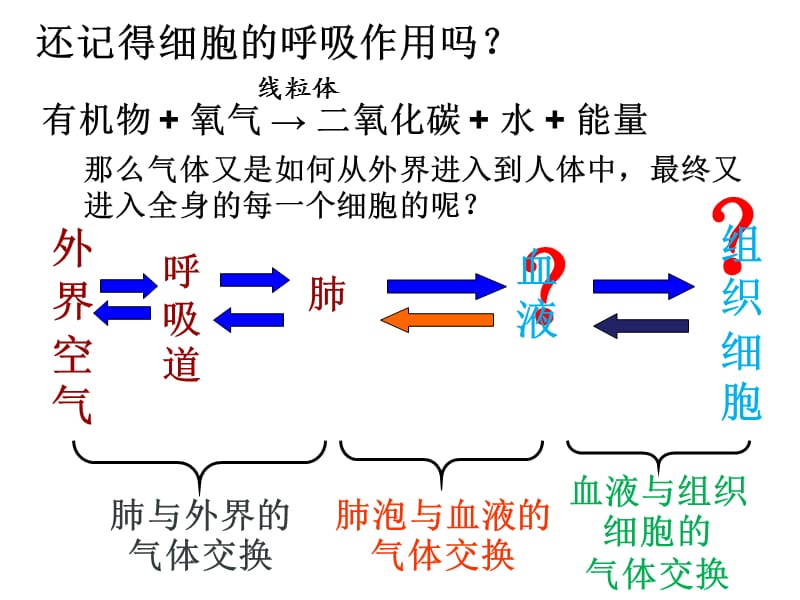 最新发生在肺内的气体交换课件-PPT文档.ppt_第1页