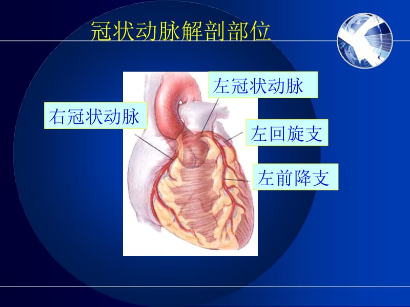 最新急性冠脉综合征规范化治疗ppt课件-PPT文档.ppt_第2页