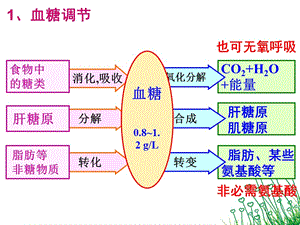 下丘脑的功能二轮复习-文档资料.ppt