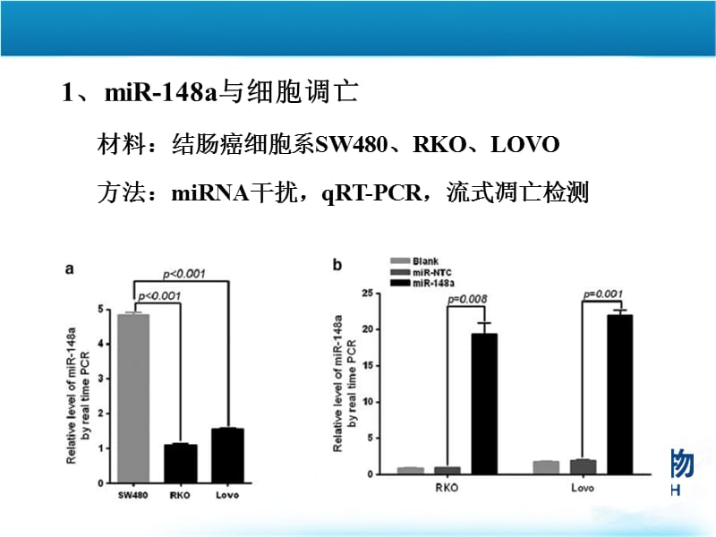 mir-148对结肠直肠癌的细胞凋亡调控-百替生物-PPT课件.ppt_第3页