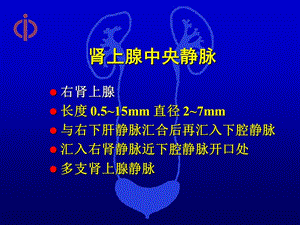 最新后腹腔镜肾上腺手术探讨-PPT文档.ppt