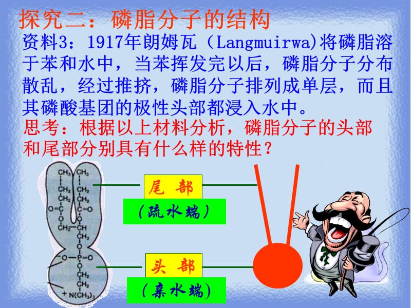 中图版细胞膜的结构与功能-精选文档.ppt_第3页