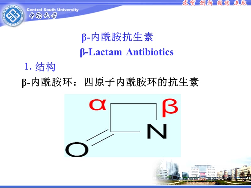 抗生素类药物的分析-精选文档.ppt_第2页