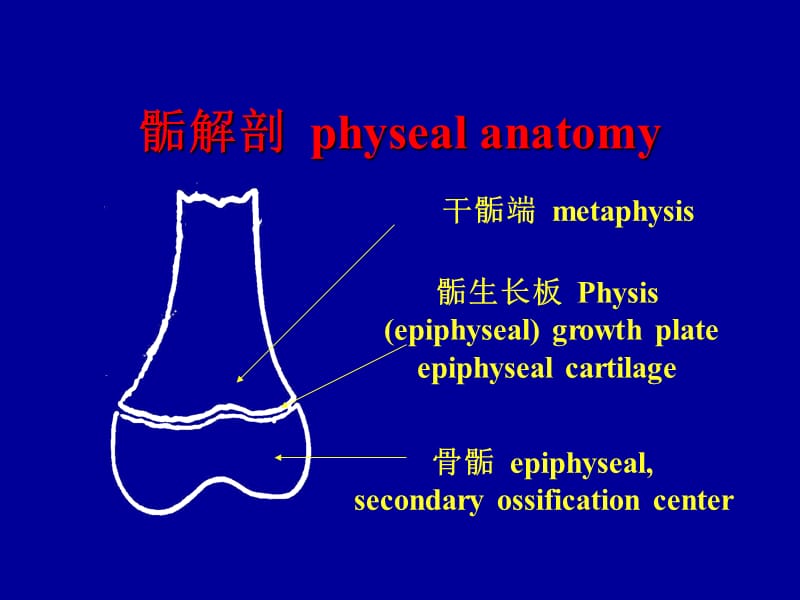 最新《小儿骨骺损伤》PPT课件-PPT文档.ppt_第2页