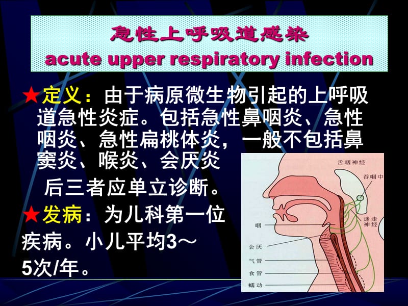 最新浅谈呼吸系统疾病诊治.ppt用-PPT文档.ppt_第3页