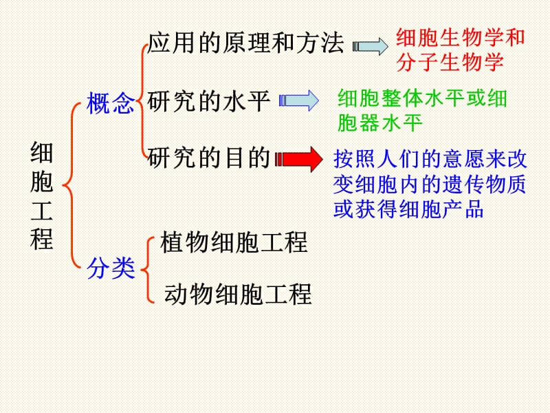 人教版教学课件211植物细胞工程的基本技术-PPT课件.ppt_第3页