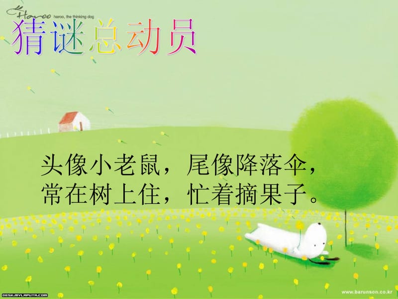 松鼠和松果.ppt.ppt_第1页