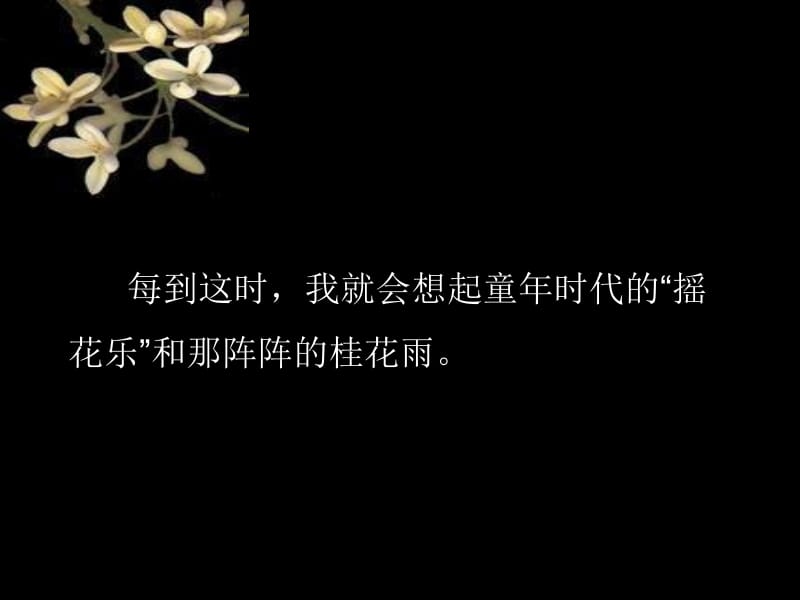 桂花雨_教学课件.ppt_第2页