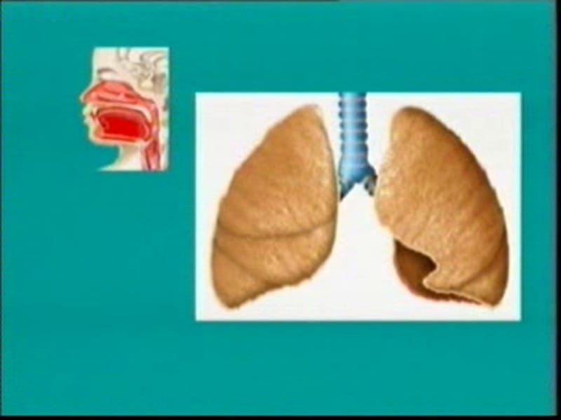 儿科护理学第六章-PPT文档.ppt_第3页